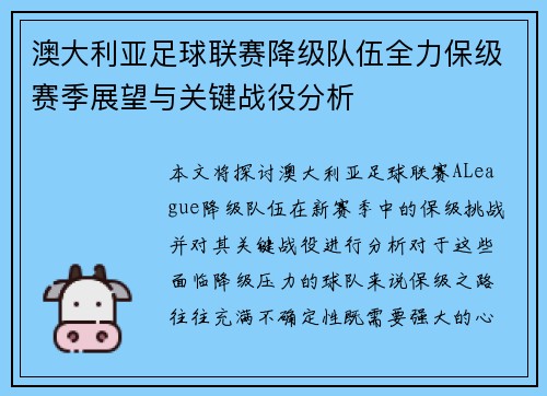 澳大利亚足球联赛降级队伍全力保级赛季展望与关键战役分析