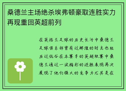 桑德兰主场绝杀埃弗顿豪取连胜实力再现重回英超前列