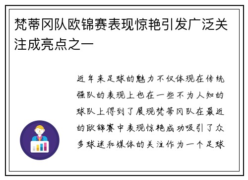 梵蒂冈队欧锦赛表现惊艳引发广泛关注成亮点之一